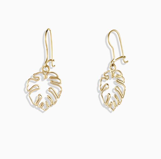 ساده عصایی برگ