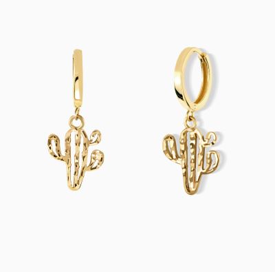 ساده کلیپسی کاکتوس